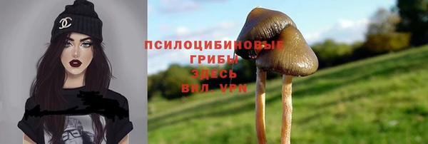 спиды Карталы