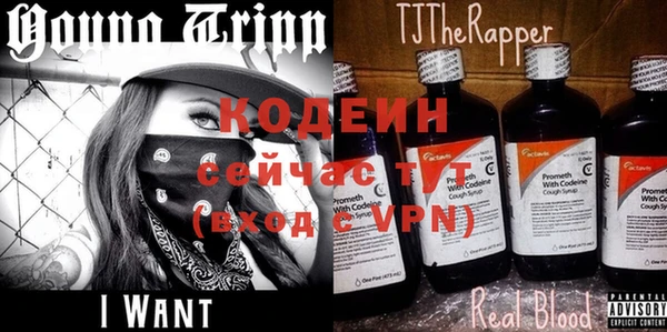 спиды Карталы