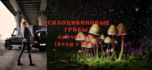 Альфа ПВП Касимов