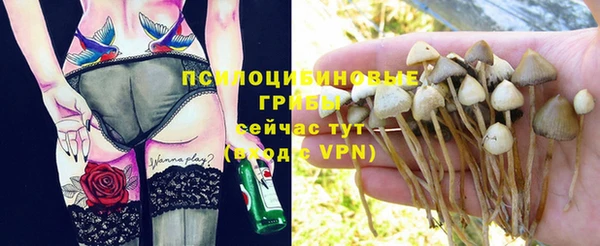 спиды Карталы