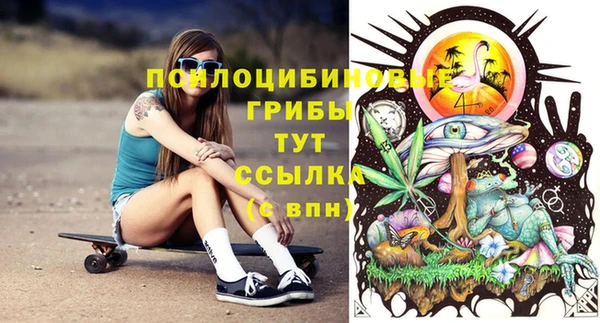 спиды Карталы