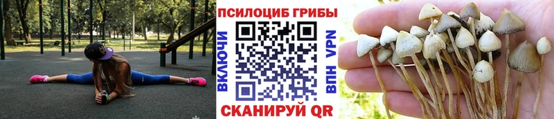 Купить закладки  Геленджик  Псилоцибиновые грибы ЛСД 